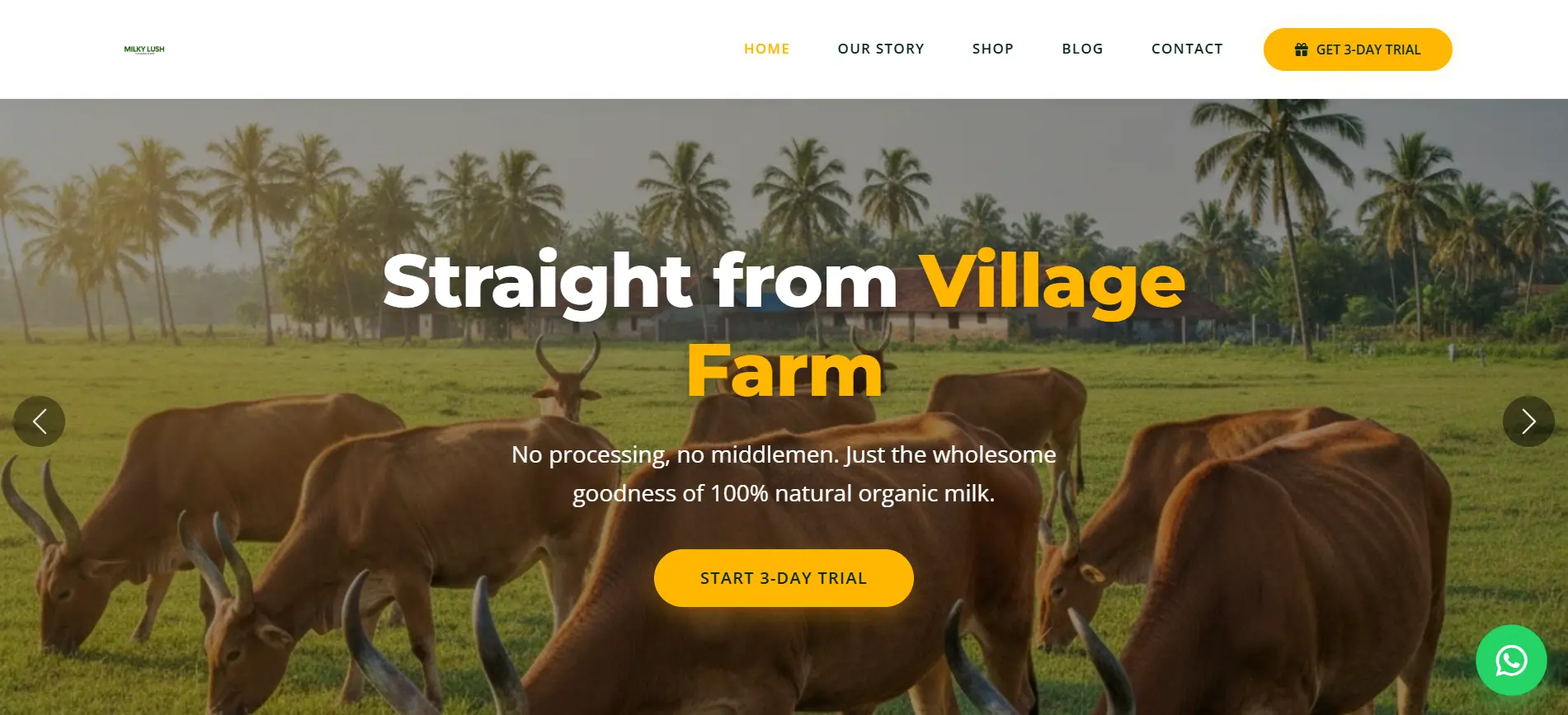 Milky Lush E-Commerce Website Project - Web Development by OG Space